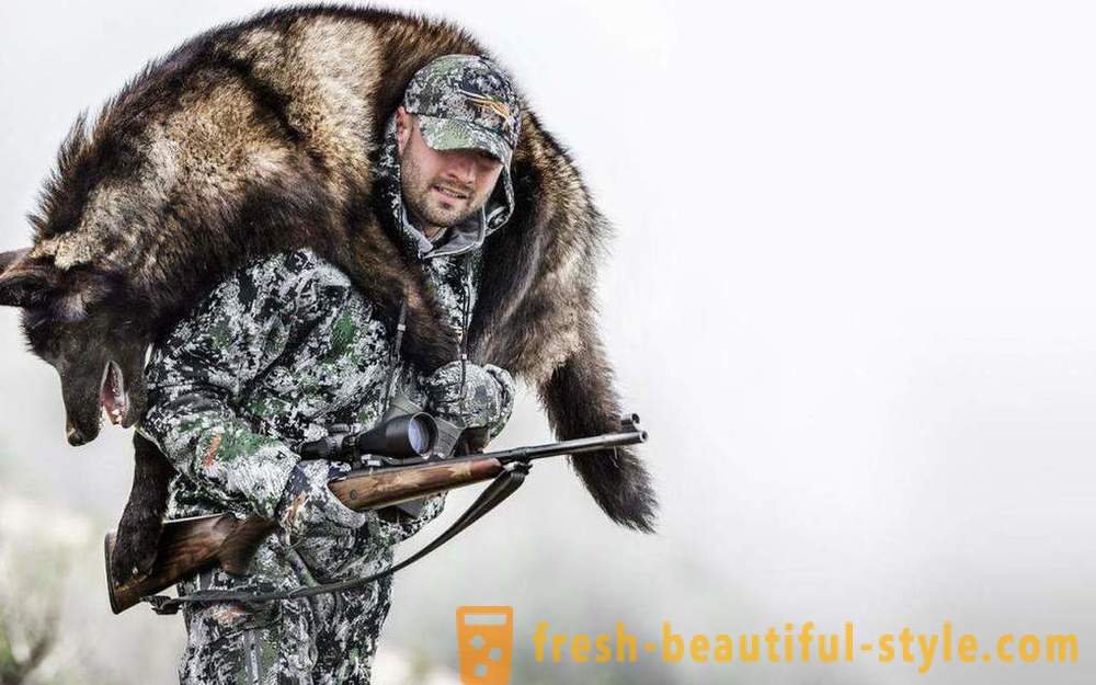 Žiemos medžioklė, kai sezonas prasideda, patarimai pradedantiesiems, ypač įranga