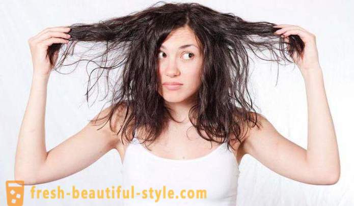 Efektyvus šampūnas riebiems plaukams: apžvalgos, tipai ir gamintojai