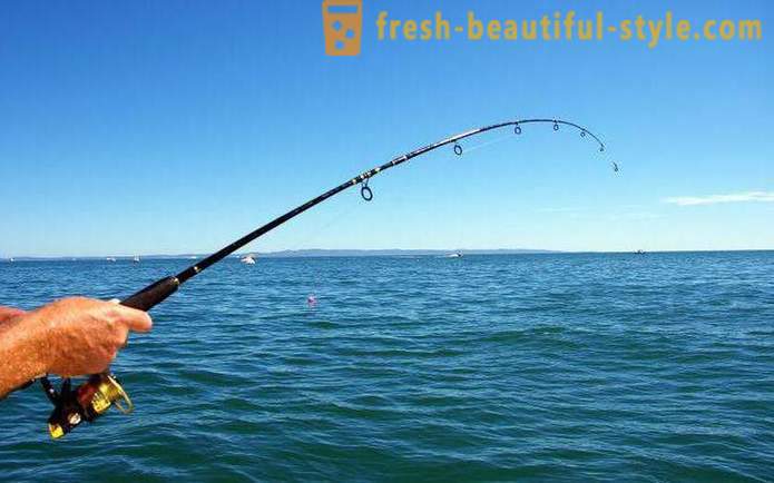 Žvejyba Syzran: geriausias vietas ir kramtymas prognozę