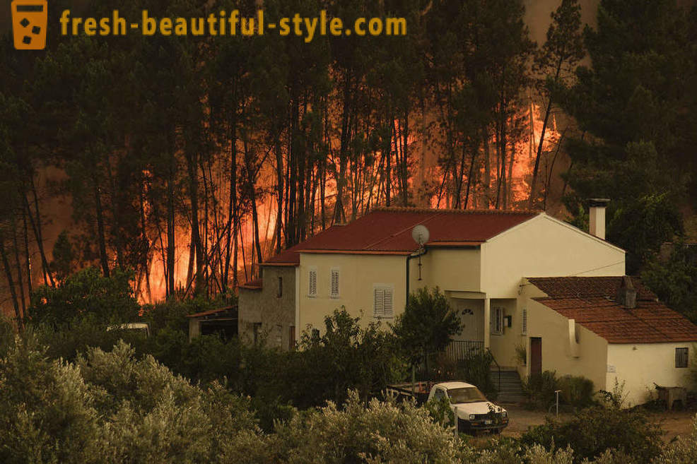 Kaip gesinti gaisrų Portugalijoje