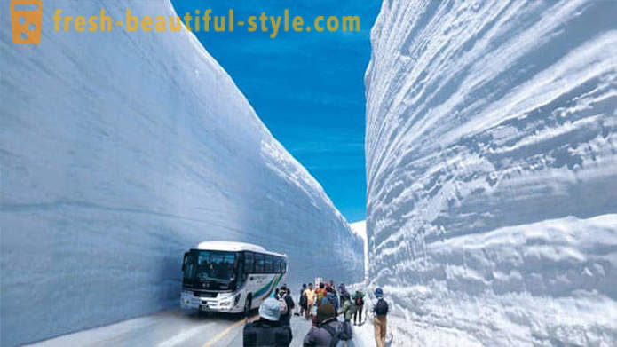 Nuostabi sniego koridorius Japonijoje