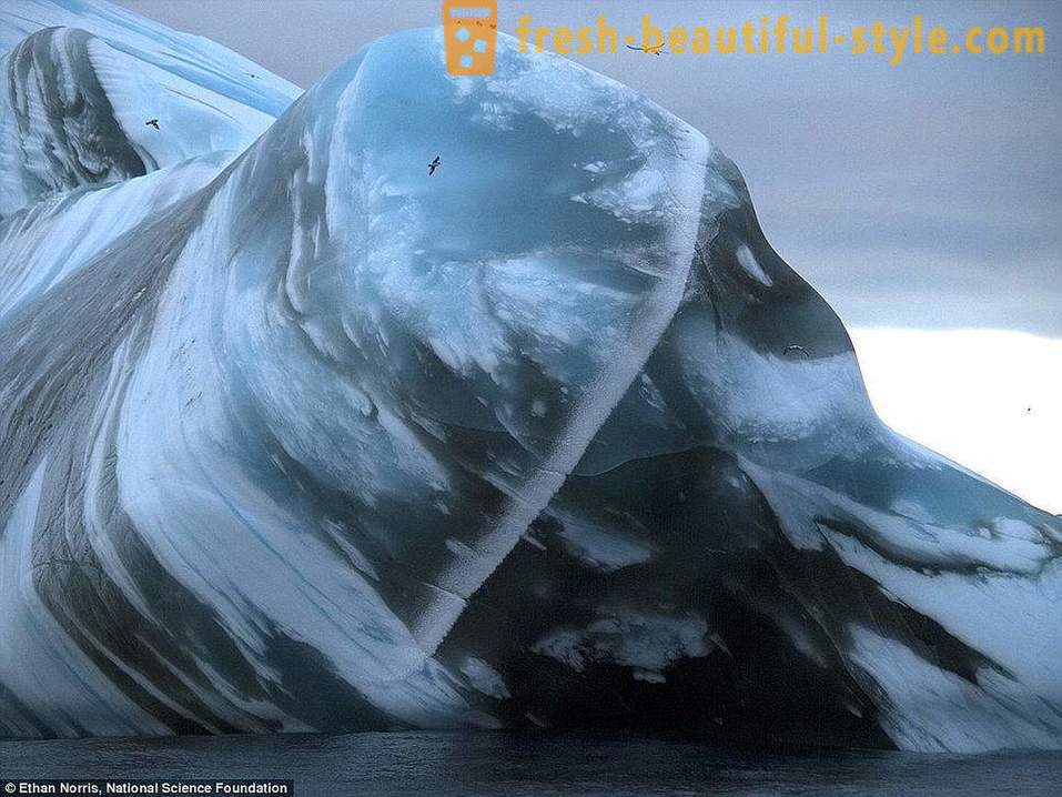 Camye pasaulio senovės ledkalnių