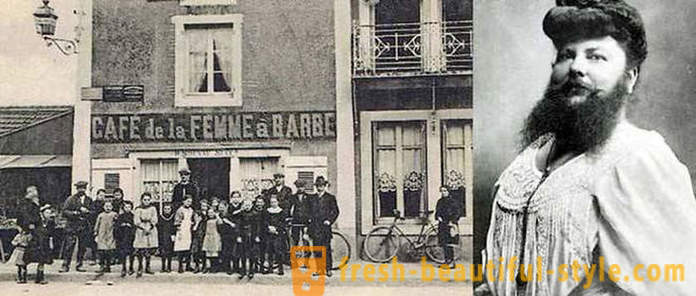 Istorija barzdotas prancūzų