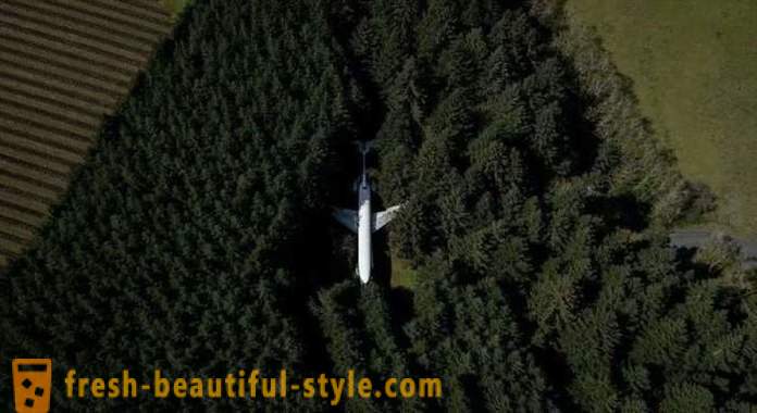 JAV, 15 metų gyvename į miško viduryje lėktuvo