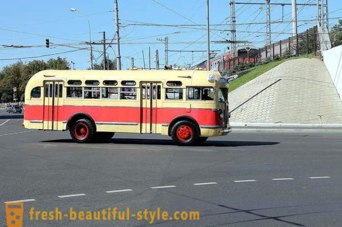ZIC-155: legenda tarp sovietinių autobusų