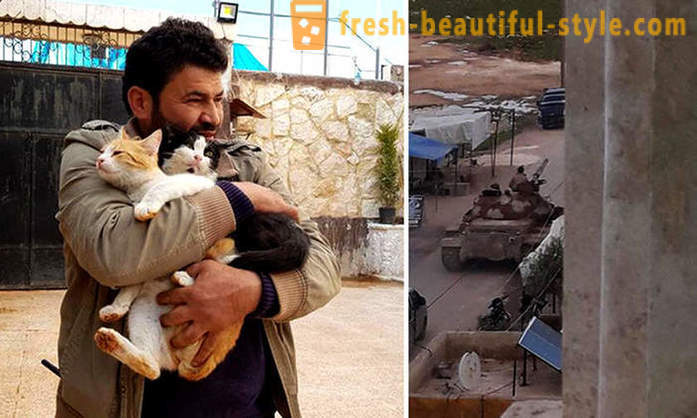 Žmogus liko karo nuniokotame Alepas rūpintis paliktais gyvūnais