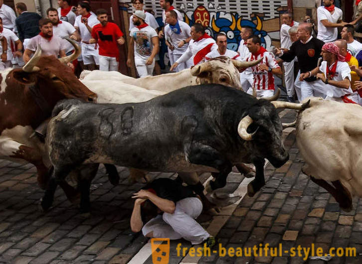 Kaip buvo metinis veikia iš Pamplona, ​​Ispanija bulių