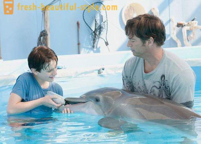 Iš filmų apie delfinų pasirinkimas