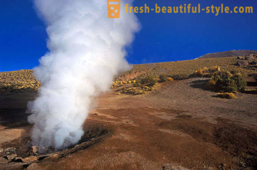 11 geizerių, o tai rodo neįtikėtiną jėgą ir stiprumą Žemėje