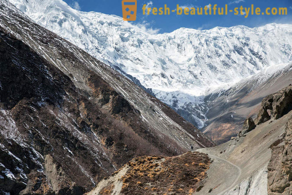 Himalaya: Anapurna žiedas