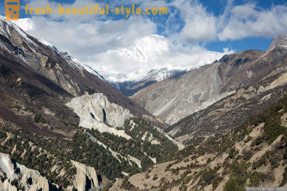 Himalaya: Anapurna žiedas