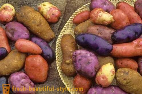 Ką reikia žinoti apie kiekvieną bulvių