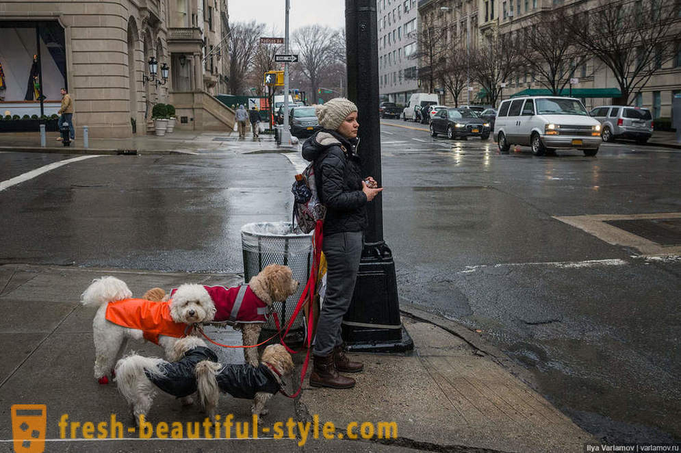 Niujorkas: Keista mada, blogi keliai ir ateityje viešbutis