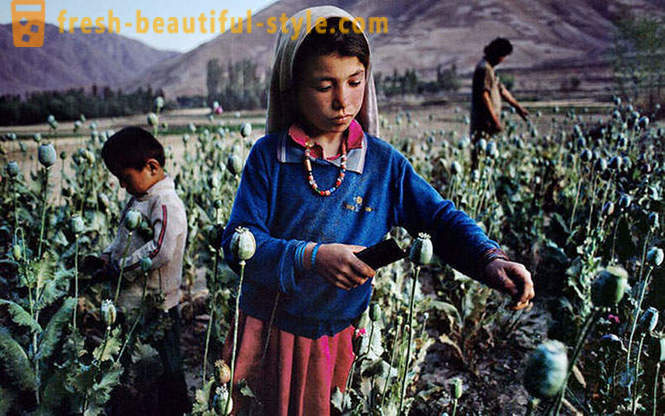 Afganistanas per Steve Mc Curry objektyvu