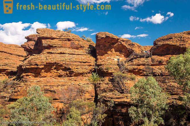 Vaikščioti per Kings Canyon Australijoje
