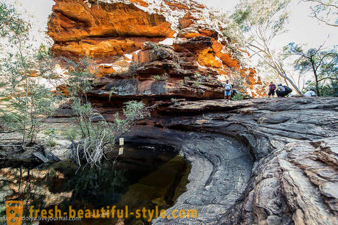 Vaikščioti per Kings Canyon Australijoje