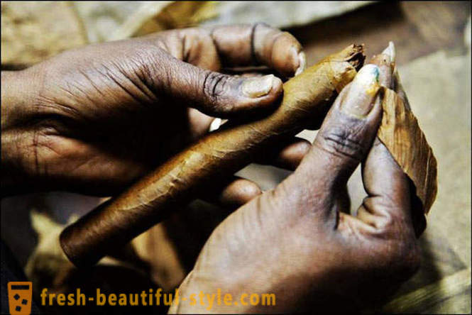 Iš sukurti geriausias Kubos cigarų procesas