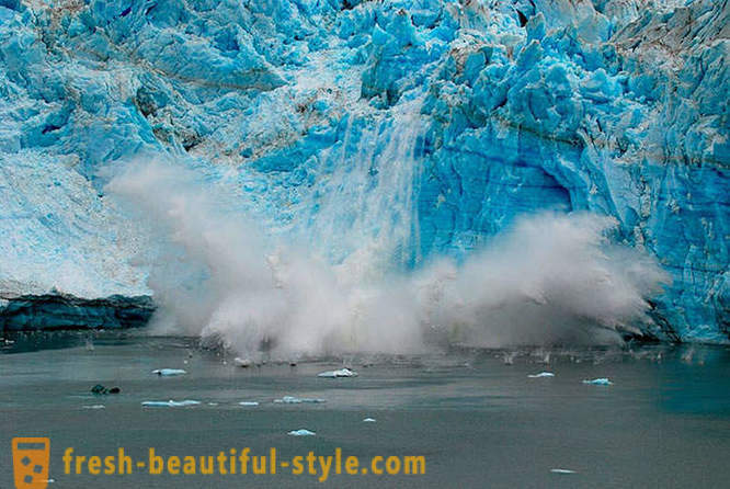 Ledynas įlankos nacionalinis parkas Aliaskoje