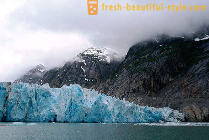 Ledynas įlankos nacionalinis parkas Aliaskoje