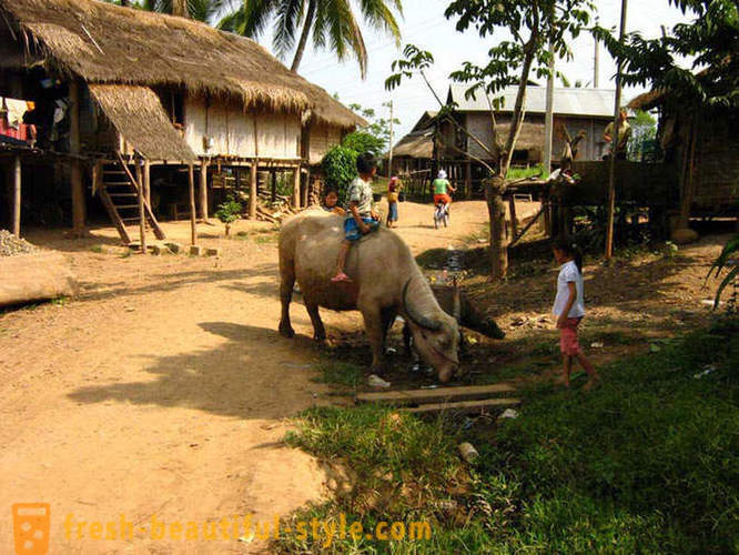 GeoFresher - Kaip gyventi Laosas