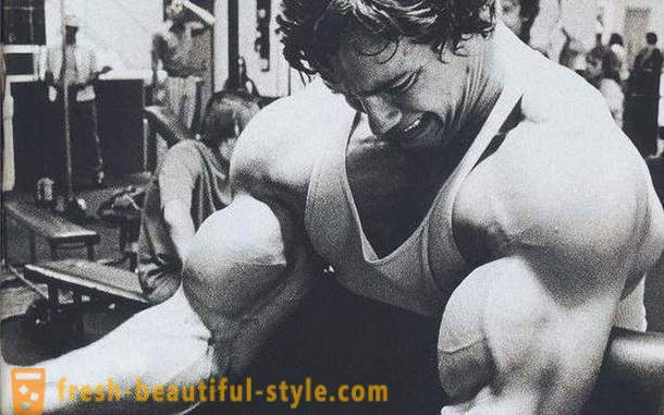 Treniruotės bicepsas. Mokymo programa bicepsas