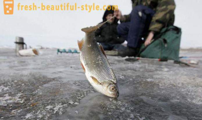 Žvejyba Chanty Mansijske. Upių Khanty-Mansiysk