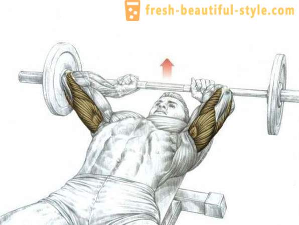 Geriausia naudotis tricepsas salėje
