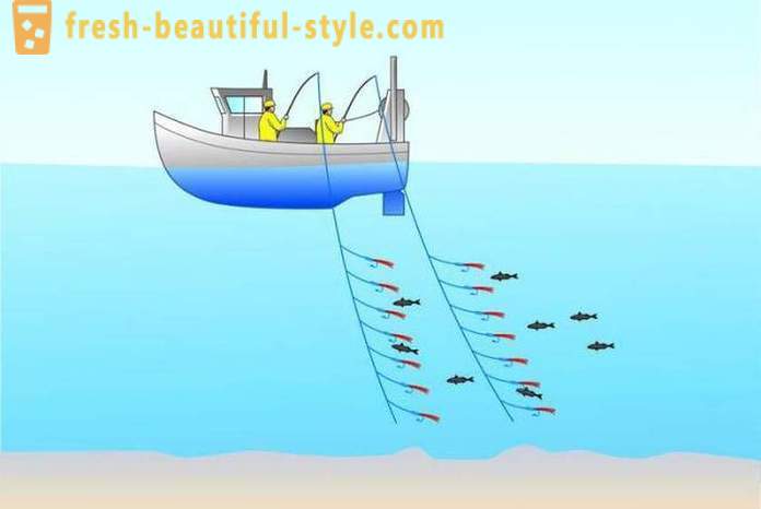 Traukiamoji: žvejyba pradedantiesiems. Žvejyba velkamosiomis ūdomis