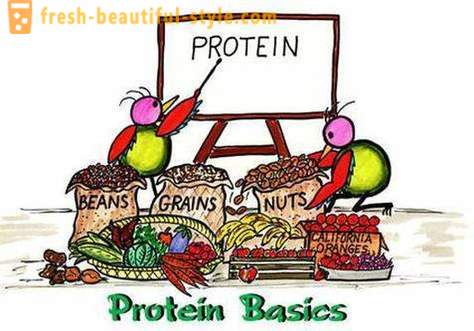 Kas yra baltymai? Kas ir kaip vartoti proteiną