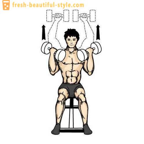 Metodai raumenų masės: paspauskite Arnold