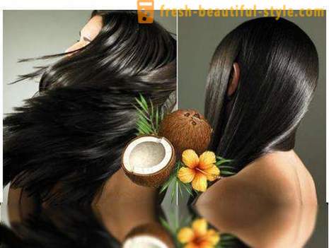 Kokosų aliejus: apžvalgos, taikymas. Kokosų aliejus plaukus