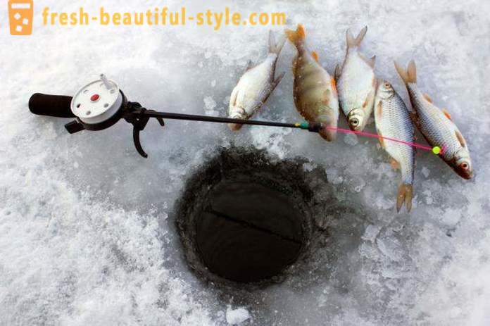 Kuojų žvejyba žiemą. Reikmenys gaudyti kuojų žiemą