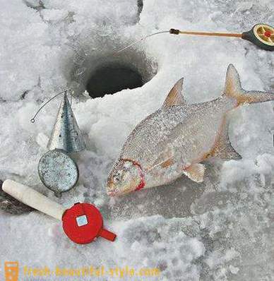 Žiemos karšis. Spręsti žiemos žvejybai karšiai