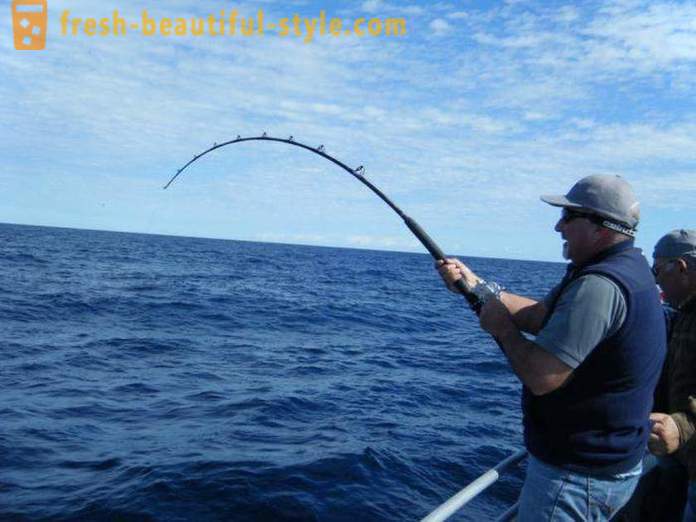 Man patinka žvejoti? Žvejyba ant ežero, upės ir jūros. Kaip žvejoti verpimui?