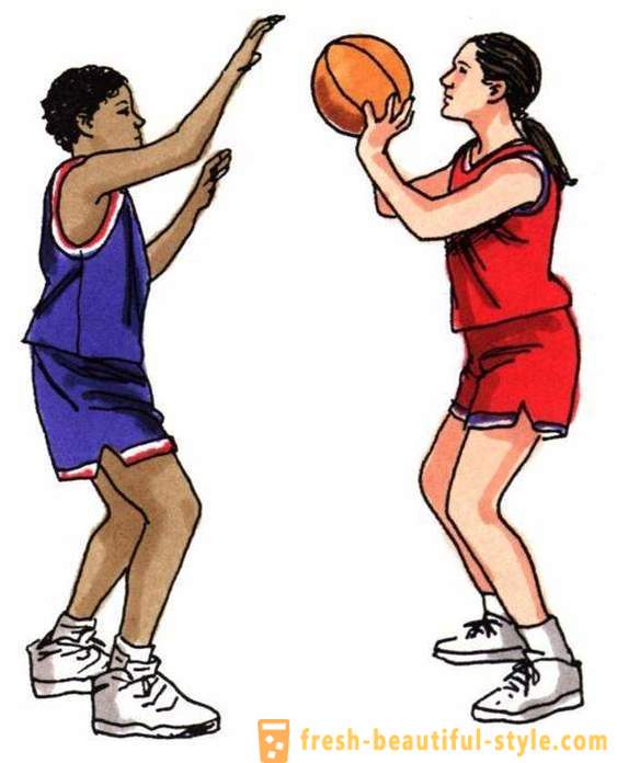 Pagrindinės taisyklės krepšinio žaidimas