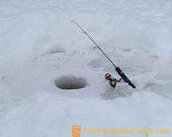 Įspūdingos žvejybos karpių žiemą